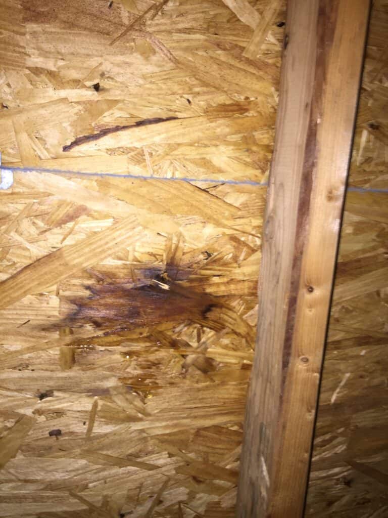 Protect your roof this spring in ohio from roof leaks like this